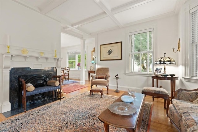 210 Melrose St, Newton, MA 02466 - living area with coffered ceiling, wood finished floors, beamed ceiling, a fireplace, and baseboards