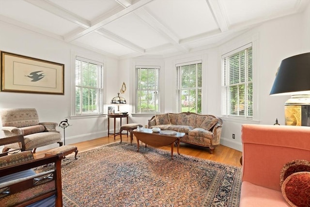 210 Melrose St, Newton, MA 02466 - living room with coffered ceiling, plenty of natural light, wood finished floors, beamed ceiling, and baseboards