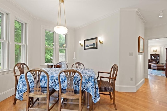210 Melrose St, Newton, MA 02466 - dining area with plenty of natural light, baseboards, light wood-type flooring, and crown molding