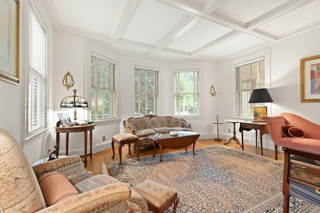 210 Melrose St, Newton, MA 02466 - living room with coffered ceiling, wood finished floors, plenty of natural light, beamed ceiling, and baseboards