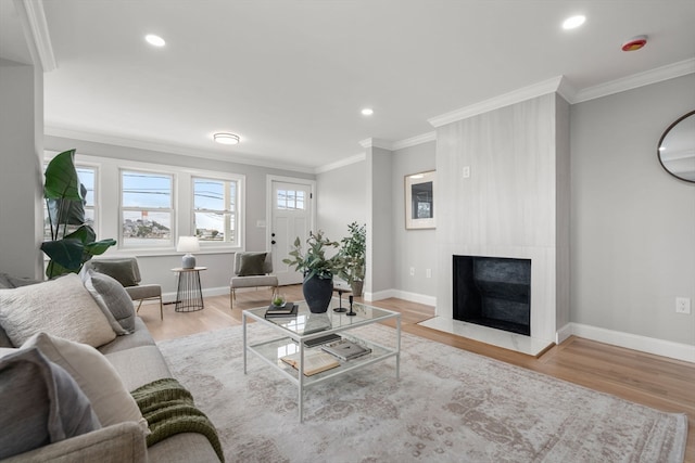 living room featuring a large fireplace, light hardwood / wood-style flooring, and ornamental molding