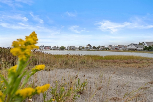 view of local wilderness featuring a water view