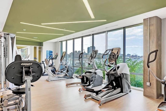 workout area with expansive windows and wood finished floors
