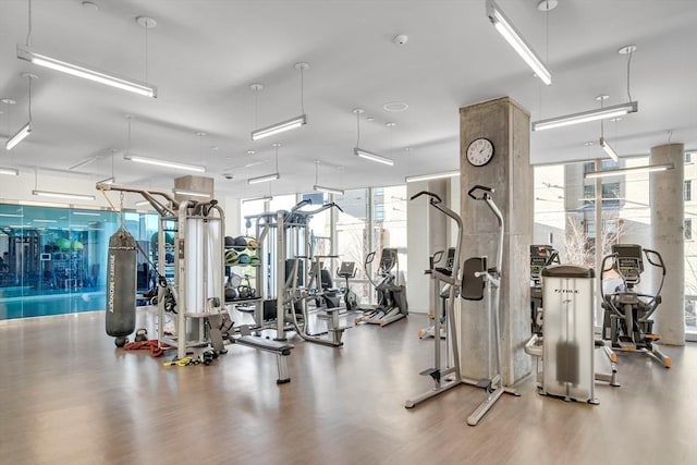 exercise room with hardwood / wood-style floors and expansive windows