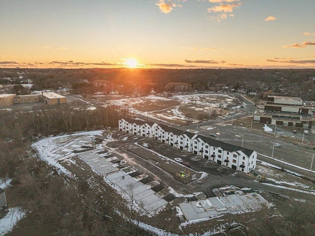 bird's eye view