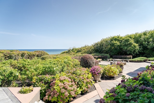 view of community featuring a water view and a patio area