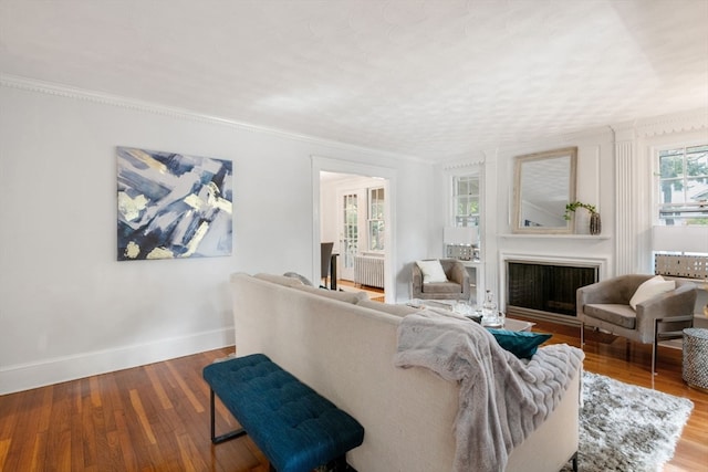 living room featuring radiator and wood-type flooring