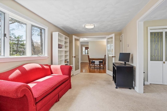 living area featuring baseboards and carpet