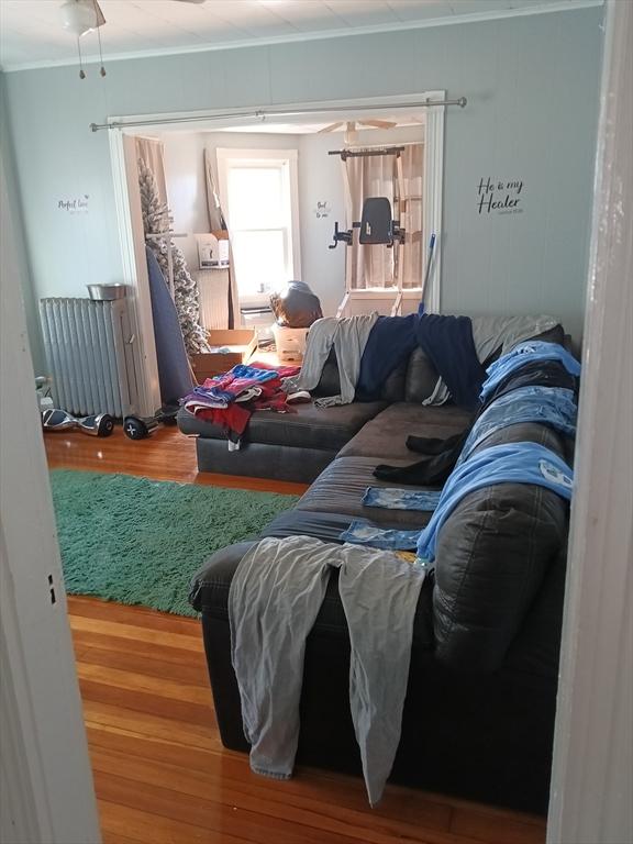 248 S Main St, Attleboro, MA 02703 - living room with ornamental molding, wood finished floors, and a ceiling fan