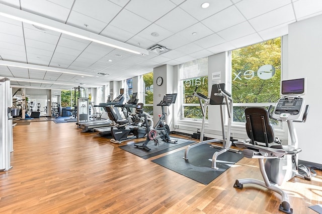 gym featuring a drop ceiling and hardwood / wood-style flooring