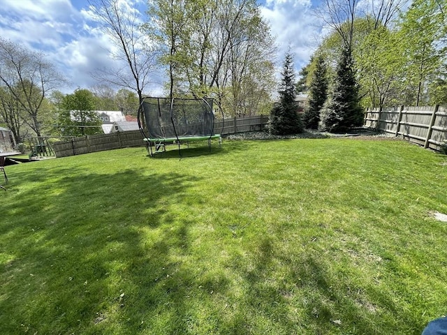 view of yard with a trampoline and a fenced backyard