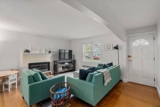 living room featuring a glass covered fireplace and wood finished floors