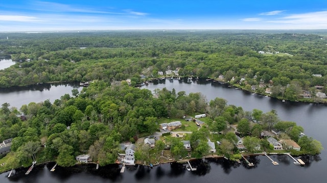 52 Lake Shore Dr, Essex, MA 01929 - bird's eye view of a forest and a nearby body of water