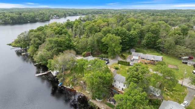 52 Lake Shore Dr, Essex, MA 01929 - aerial view of property's location with a heavily wooded area and a nearby body of water
