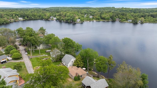 52 Lake Shore Dr, Essex, MA 01929 - aerial view of property's location featuring a forest and a large body of water
