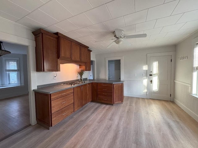 kitchen featuring stainless steel gas stovetop, ceiling fan, a healthy amount of sunlight, and light wood-type flooring