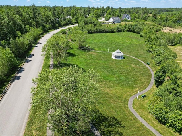 4 Kestrel Way, Carver, MA 02330 - drone / aerial view of a heavily wooded area