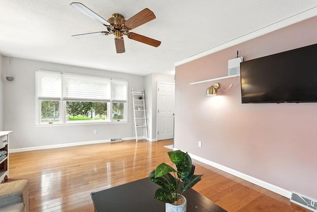 19 Arnold Ave, Chicopee, MA 01013 - living area with wood finished floors, a ceiling fan, and baseboards