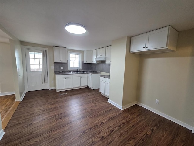 kitchen with a sink, under cabinet range hood, white cabinetry, and dark wood-type flooring