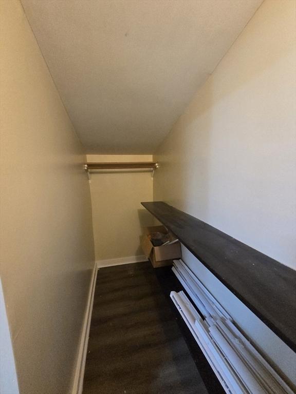spacious closet featuring vaulted ceiling and wood finished floors