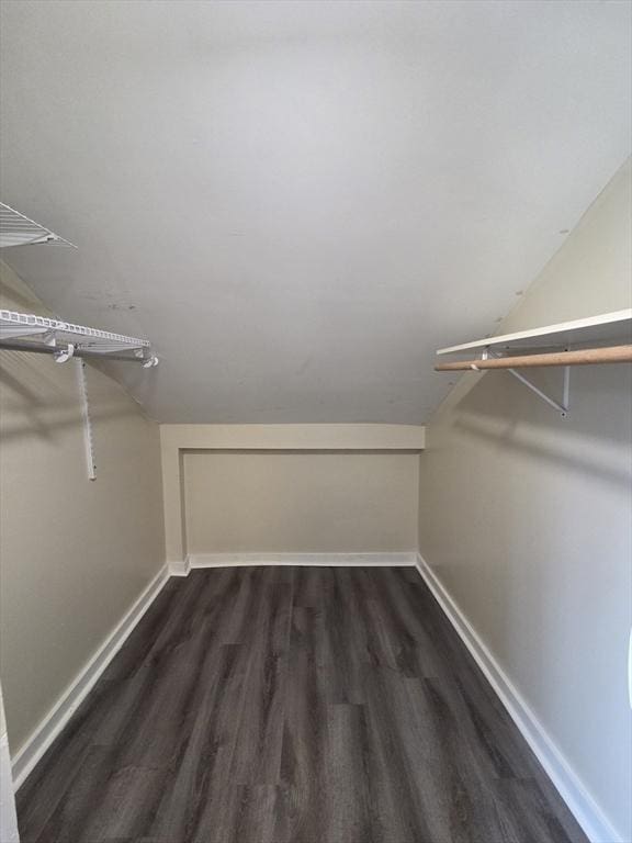 spacious closet with vaulted ceiling and dark wood-type flooring