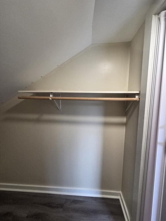 spacious closet featuring vaulted ceiling and dark wood-style floors