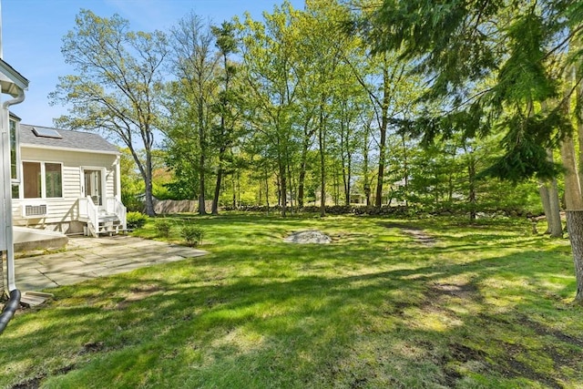 view of yard featuring a patio