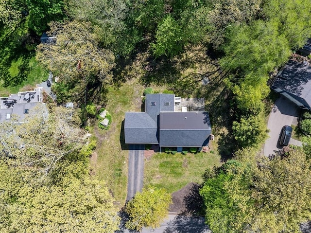 drone / aerial view
