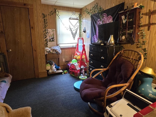 20 Central St, West Brookfield, MA 01585 - sitting room with wood walls and carpet flooring