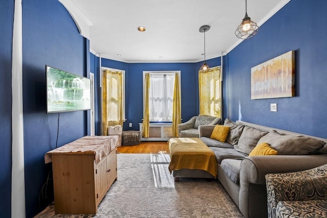 living room featuring crown molding and wood finished floors