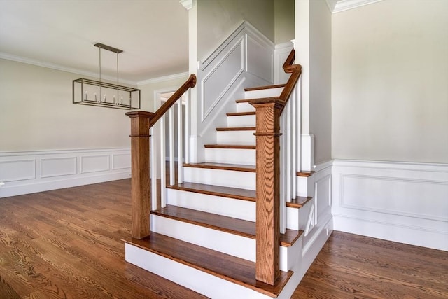 stairs with wood finished floors, ornamental molding, wainscoting, and a decorative wall