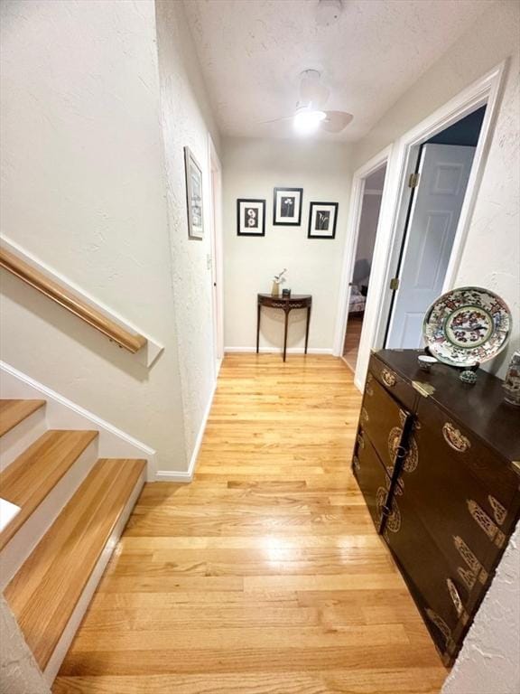 6 Tamarack Ln Unit 6, Peabody, MA 01960 - hallway with light wood-style floors, stairs, and a textured ceiling