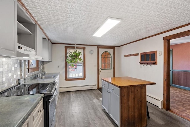 kitchen featuring stainless steel electric stove, butcher block counters, a sink, and a baseboard radiator