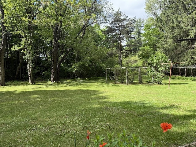 4 King Ln, Monson, MA 01057 - view of green lawn