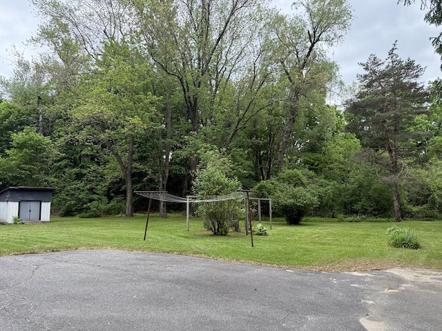 4 King Ln, Monson, MA 01057 - view of green lawn