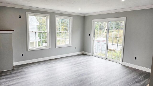 interior space featuring crown molding and hardwood / wood-style floors