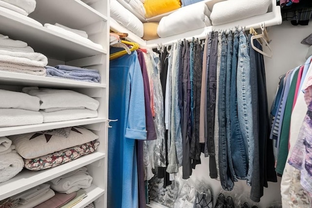 22 Chestnut Pl Unit 111, Brookline, MA 02445 - view of walk in closet