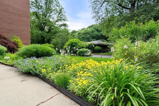 22 Chestnut Pl Unit 111, Brookline, MA 02445 - surrounding community