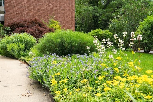 22 Chestnut Pl Unit 111, Brookline, MA 02445 - view of yard