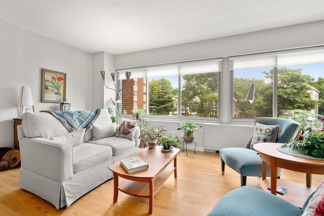 22 Chestnut Pl Unit 111, Brookline, MA 02445 - living room with light wood-style floors