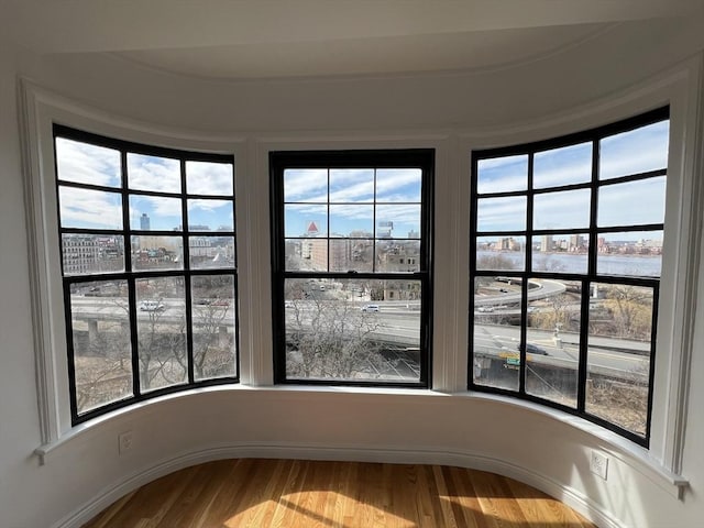 interior space with wood finished floors