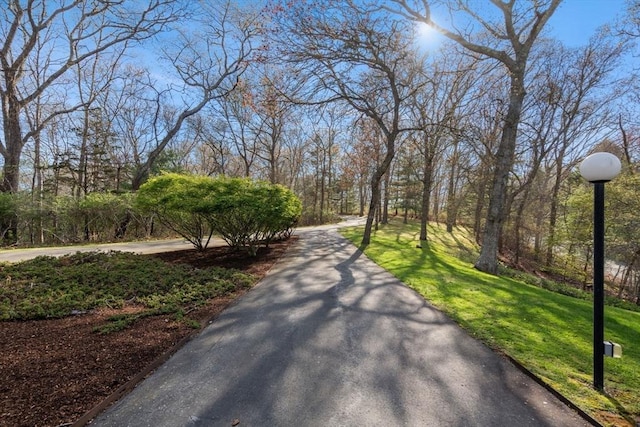 16 Wadsworth Ln, Dartmouth, MA 02748 - view of home's community featuring a yard