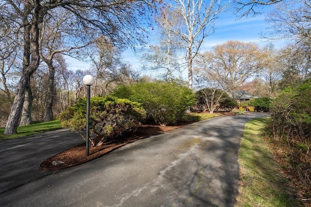 16 Wadsworth Ln, Dartmouth, MA 02748 - view of asphalt driveway with street lights