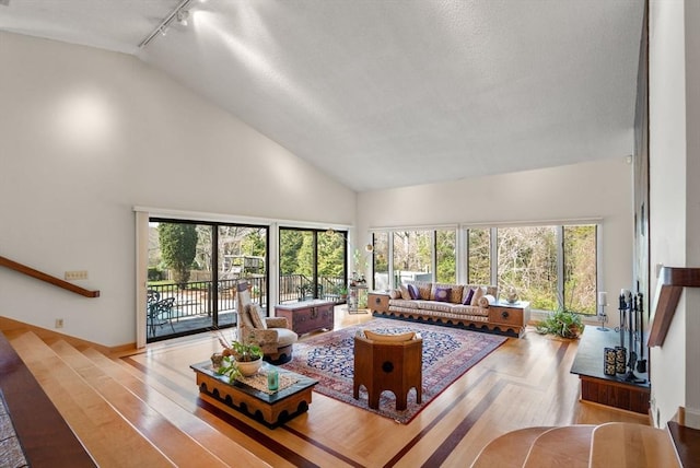 16 Wadsworth Ln, Dartmouth, MA 02748 - living room featuring track lighting, high vaulted ceiling, and wood finished floors
