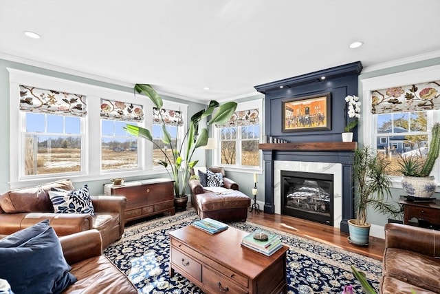 living area featuring plenty of natural light, wood finished floors, crown molding, and a premium fireplace