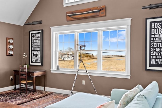 bedroom with multiple windows, baseboards, and lofted ceiling