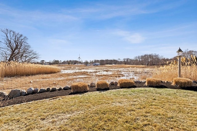 view of yard with a rural view