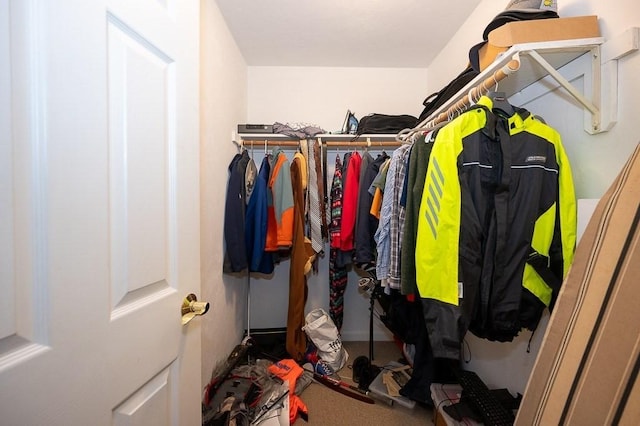 spacious closet featuring carpet floors