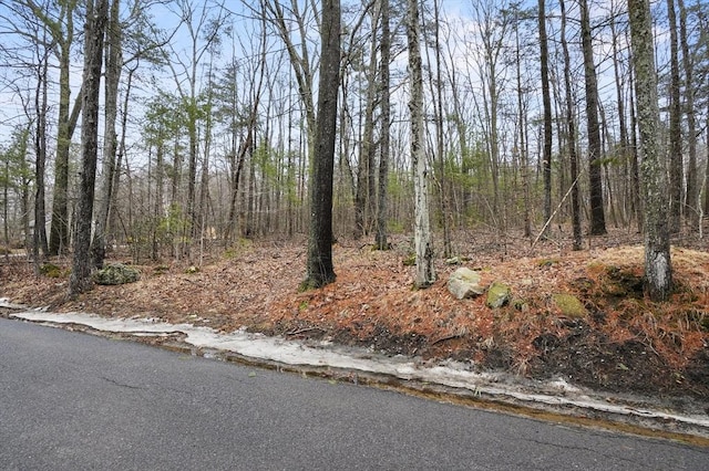 0 Crestwood Rd, Brimfield MA, 01010 land for sale