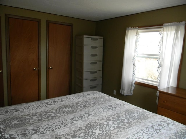 bedroom featuring multiple closets